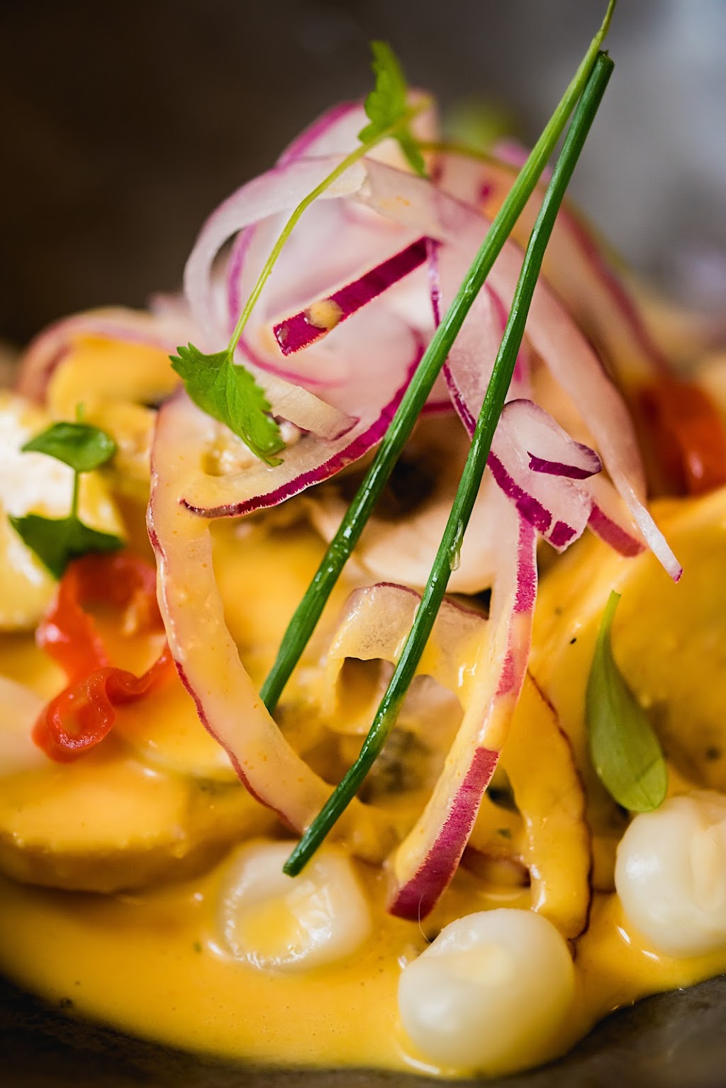 Mikasa Criolla | restaurant | 56 Patton Ave, Asheville, NC 28801, USA | 6318735041 OR +1 631-873-5041