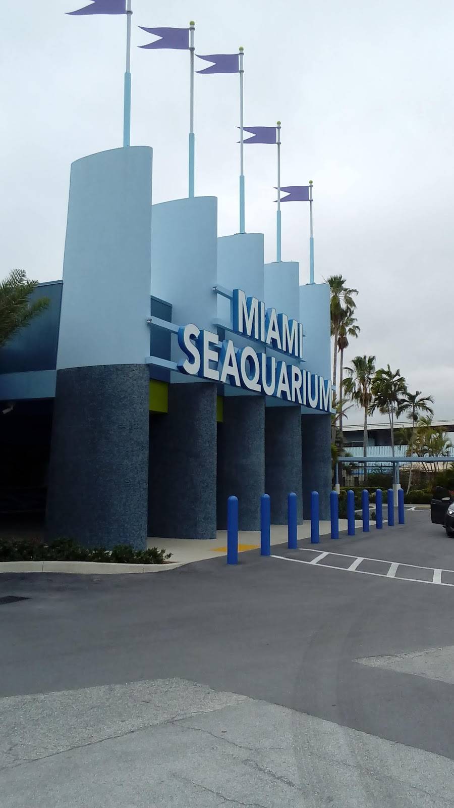 Miami Seaquarium Pink’s Hot Dog | restaurant | 4400 Rickenbacker Causeway, Key Biscayne, FL 33149, USA | 3053615705 OR +1 305-361-5705