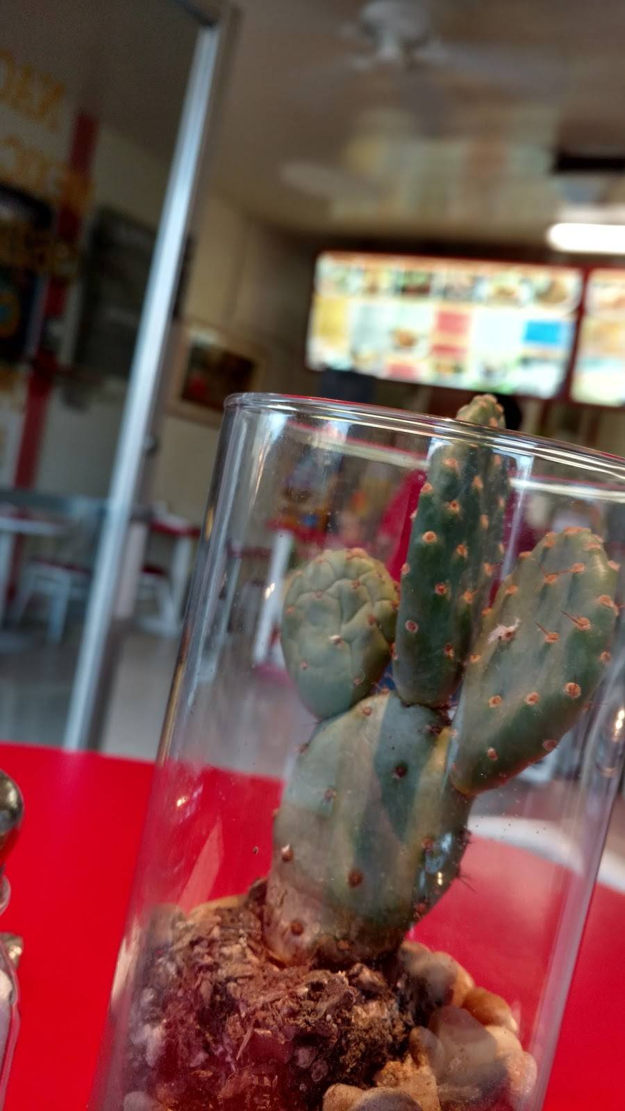 Nachos Mexican Food | restaurant | 9834 Flower St, Bellflower, CA 90706, USA | 5628678582 OR +1 562-867-8582