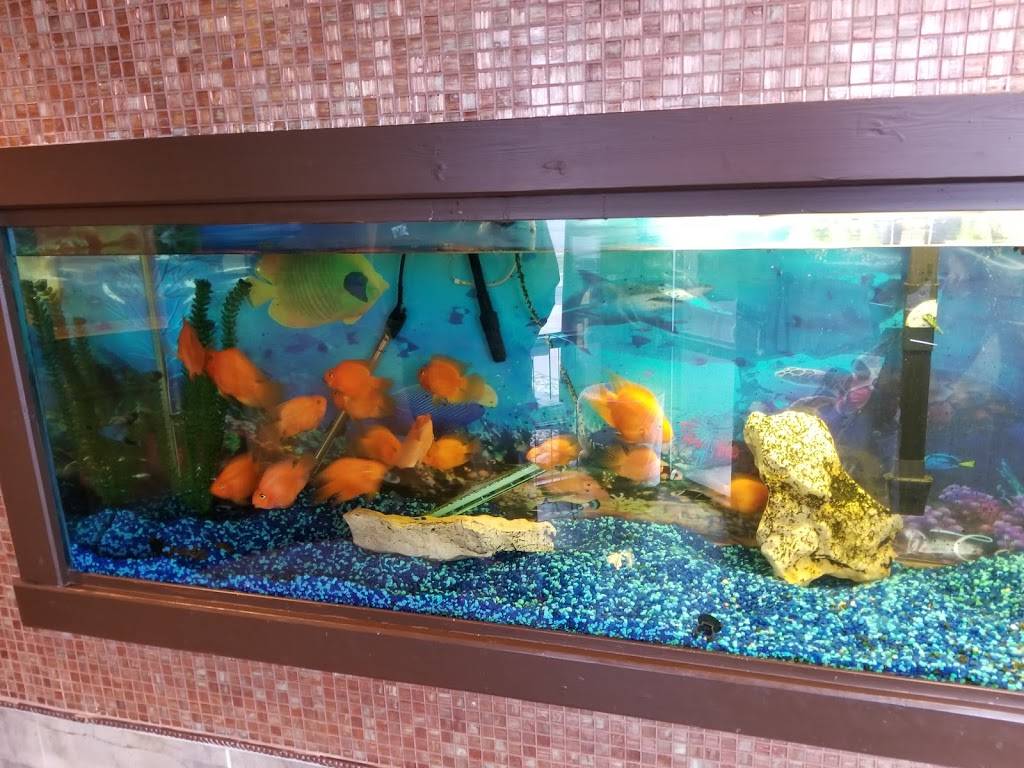 KC Buffet | restaurant | 12225 S Strang Line Rd, Olathe, KS 66062, USA | 9137826888 OR +1 913-782-6888