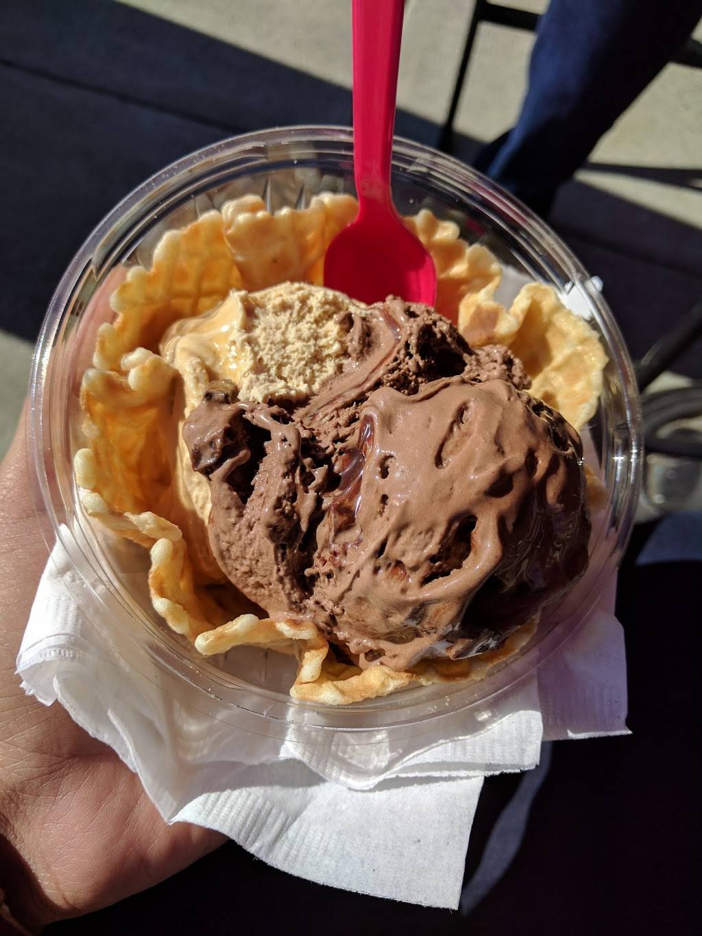 Brusters Real Ice Cream | restaurant | 8200 Renaissance Pkwy #1002, Durham, NC 27713, USA | 9192373537 OR +1 919-237-3537