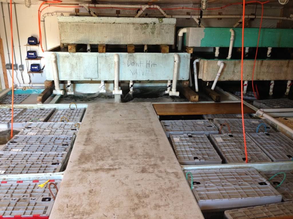 Plymouth Bay Lobster Co., LLC | restaurant | 62R Hedge Rd, Plymouth, MA 02360, USA | 5087463328 OR +1 508-746-3328