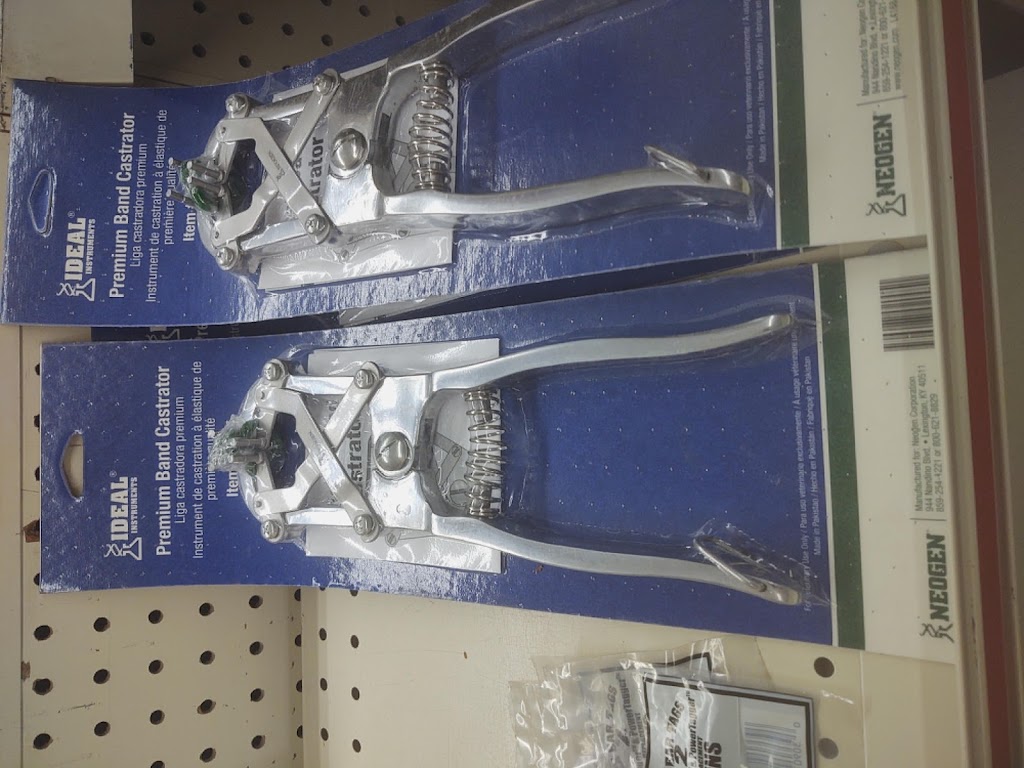 Veyo Merc | restaurant | 13 N Main St, Veyo, UT 84782, USA | 4355742749 OR +1 435-574-2749