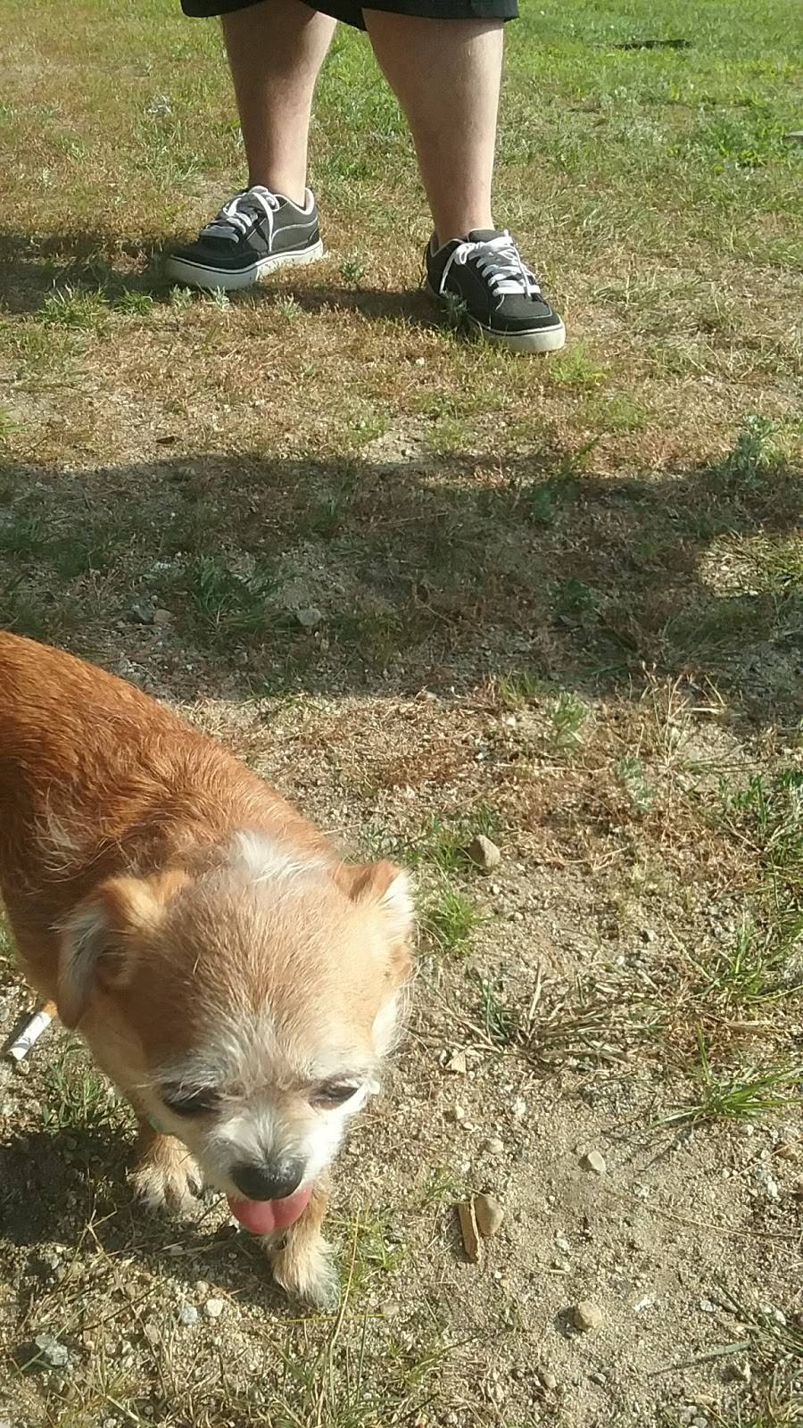 Carriage House Cafe | restaurant | 1523 Federal Rd, Livermore, ME 04253, USA | 2078975880 OR +1 207-897-5880