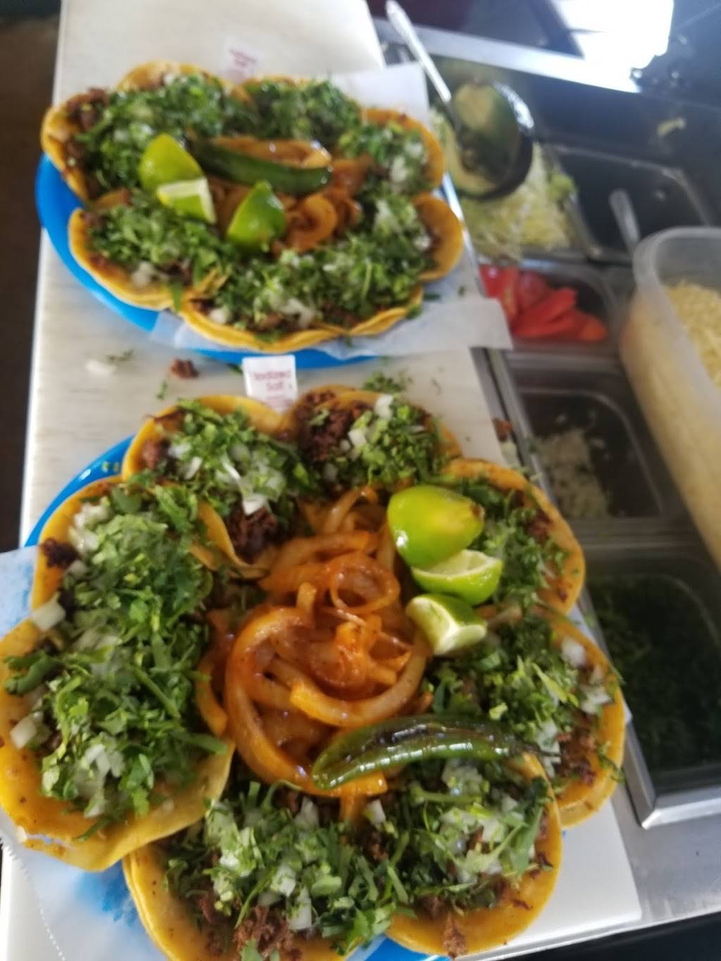 TAQUERIA LATINA | restaurant | 2952 Gears Rd, Houston, TX 77067, USA | 7134379928 OR +1 713-437-9928