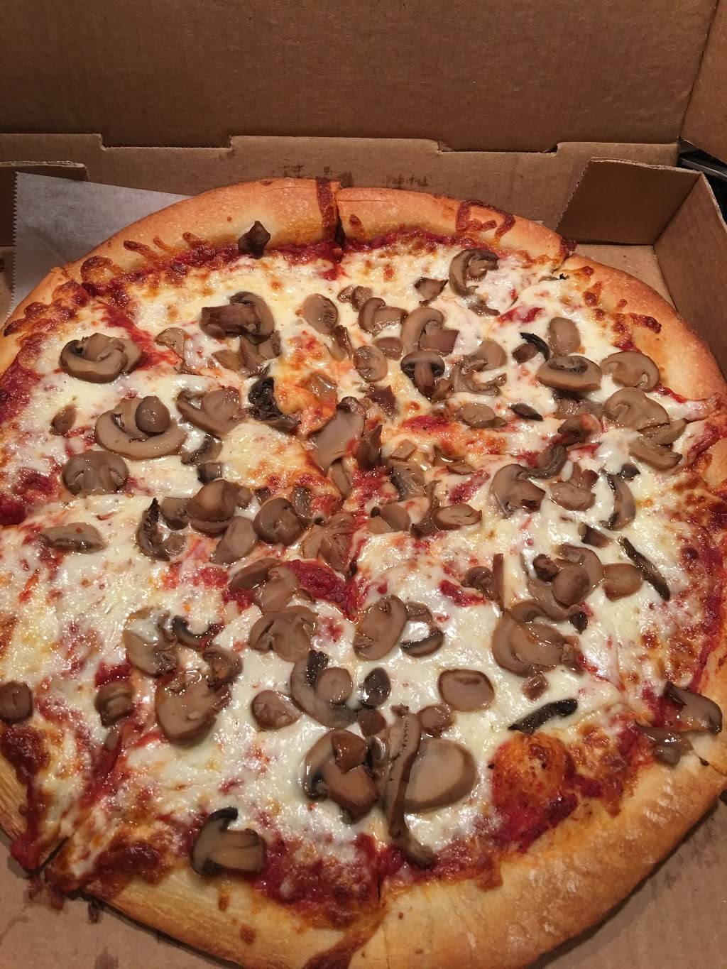 Pizza Etc | restaurant | 449 Geyser Rd, Ballston Spa, NY 12020, USA | 5188856715 OR +1 518-885-6715