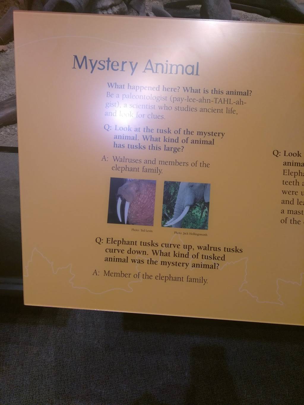 Jersey Fried Chicken | restaurant | 86 Bloomfield Ave, Newark, NJ 07104, USA | 9737322192 OR +1 973-732-2192