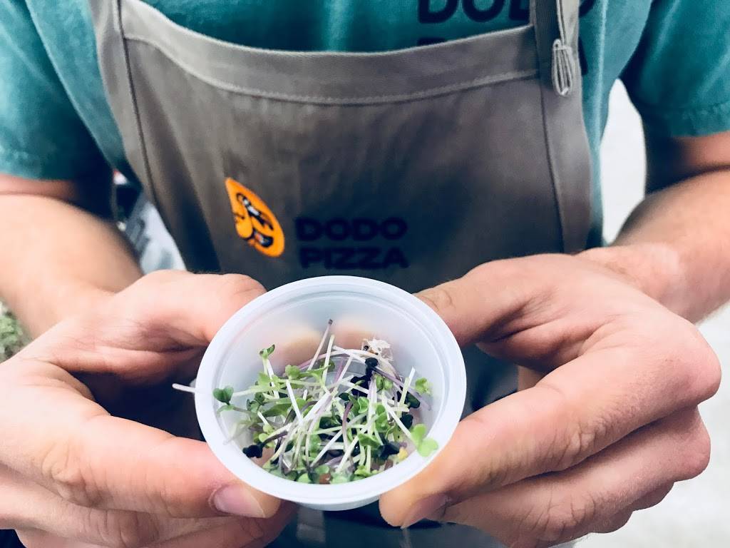 Dodo Pizza. Organic pizza delivery | restaurant | 24422 Hawthorne Blvd, Torrance, CA 90505, USA | 4245712239 OR +1 424-571-2239