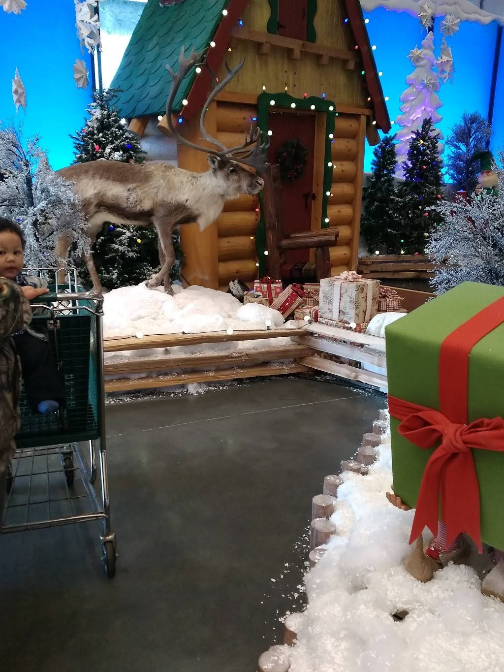 Dunkin | bakery | 2301 Main St, Conway, SC 29526, USA | 8434889370 OR +1 843-488-9370