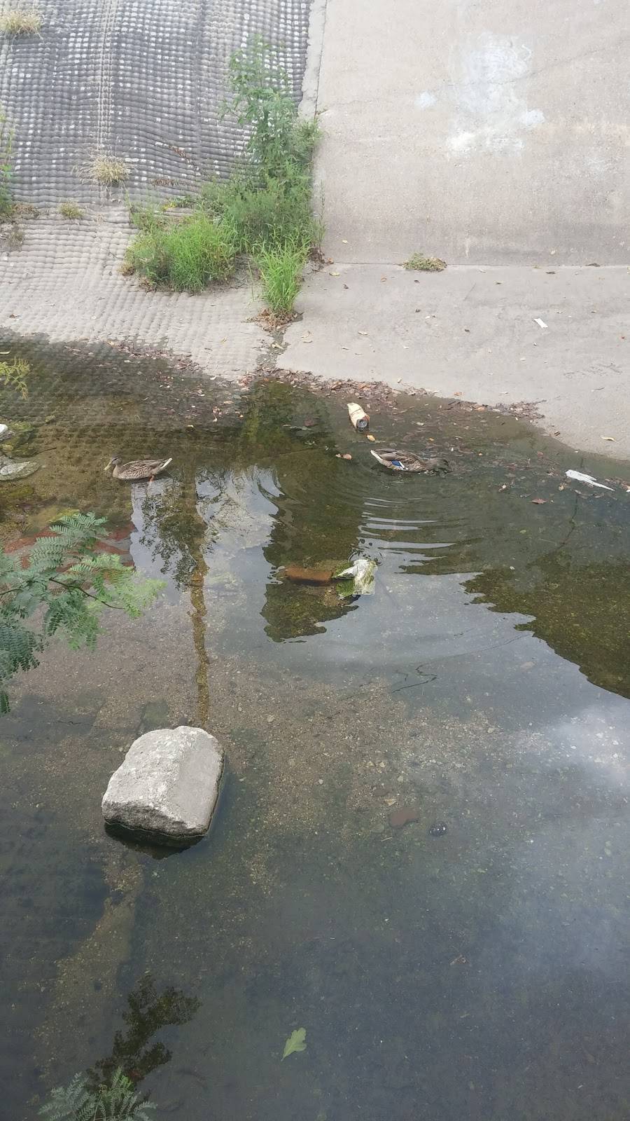 Amigos/Kings Classic | cafe | 2631 E St, Lincoln, NE 68510, USA | 4024764101 OR +1 402-476-4101