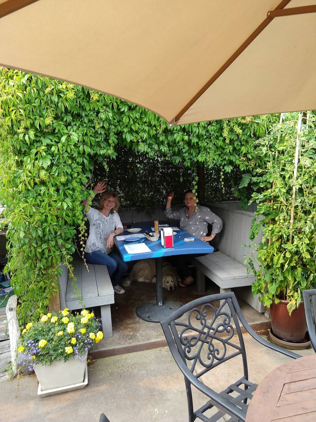 Van Gos Pizza | restaurant | 180 Web St, Friday Harbor, WA 98250, USA | 3603780138 OR +1 360-378-0138