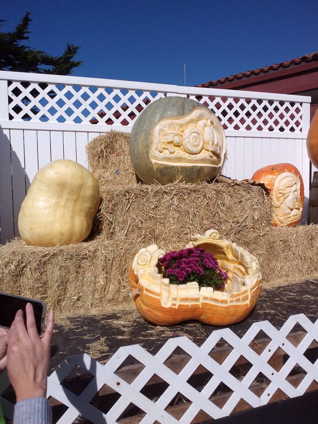 Cunhas Country Store | cafe | 448 Main St, Half Moon Bay, CA 94019, USA | 6507264071 OR +1 650-726-4071