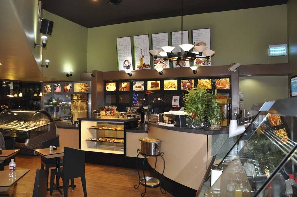 Dialog Cafe | cafe | 8766 Holloway Dr, West Hollywood, CA 90069, USA | 3102891630 OR +1 310-289-1630