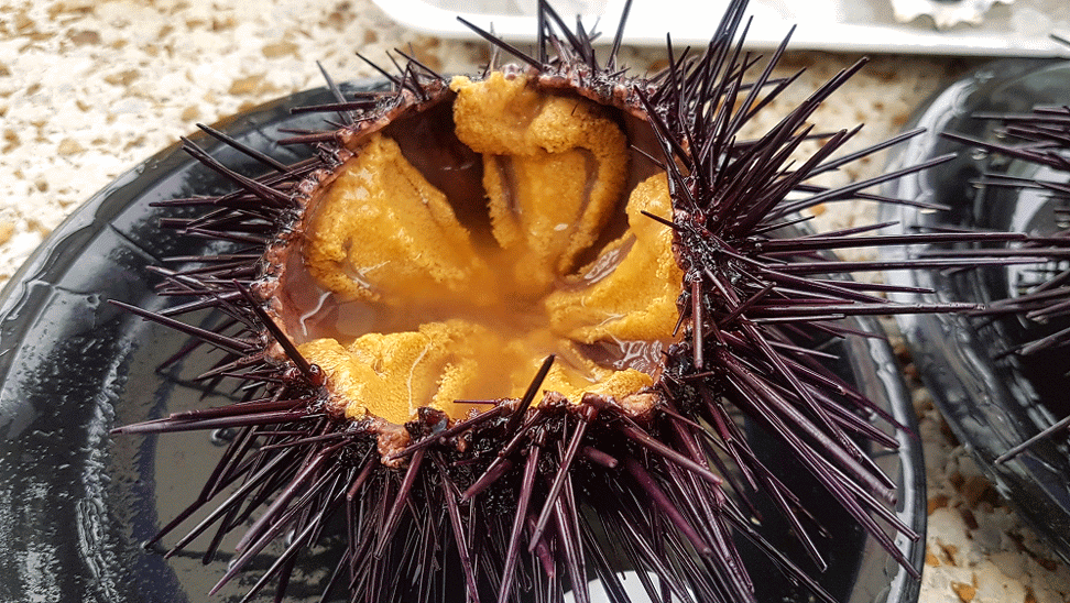 Quality Seafood | restaurant | 130 International Boardwalk, Redondo Beach, CA 90277, USA | 3103726408 OR +1 310-372-6408