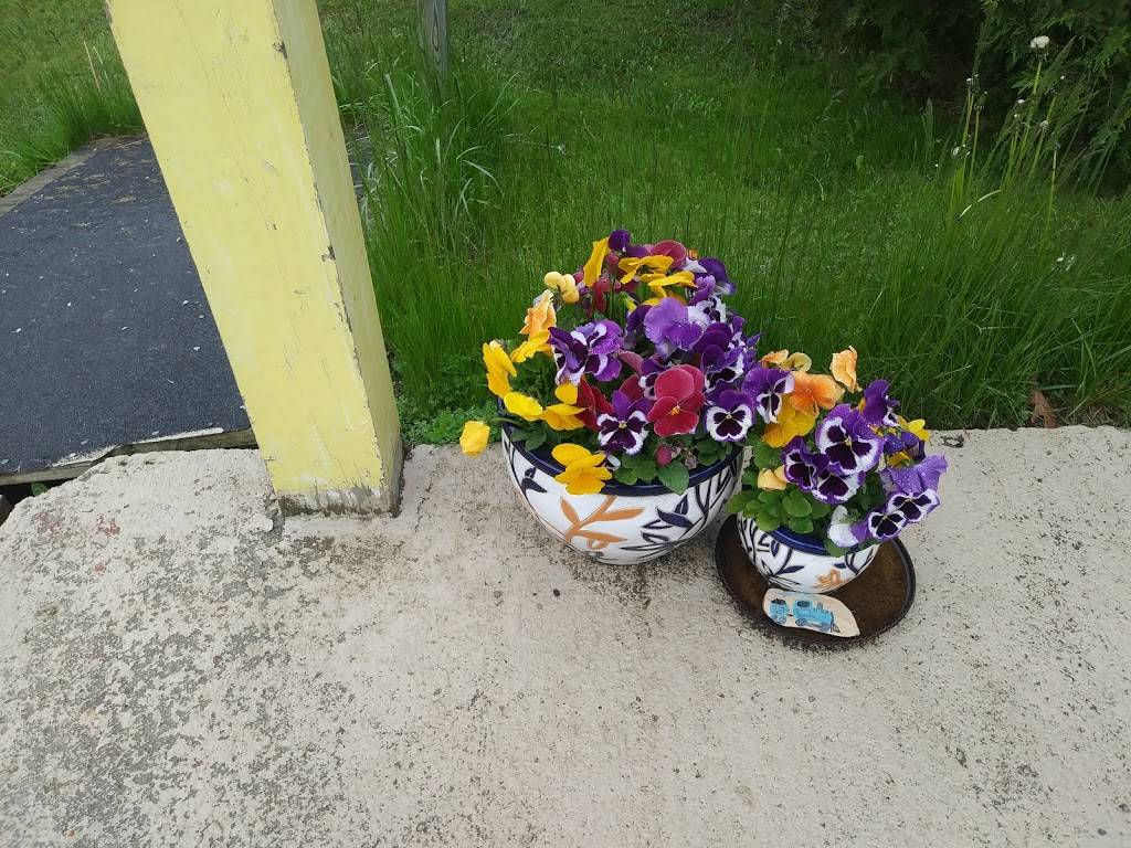 Reunion Station | restaurant | 21 Center St, Damariscotta, ME 04543, USA | 2075635557 OR +1 207-563-5557