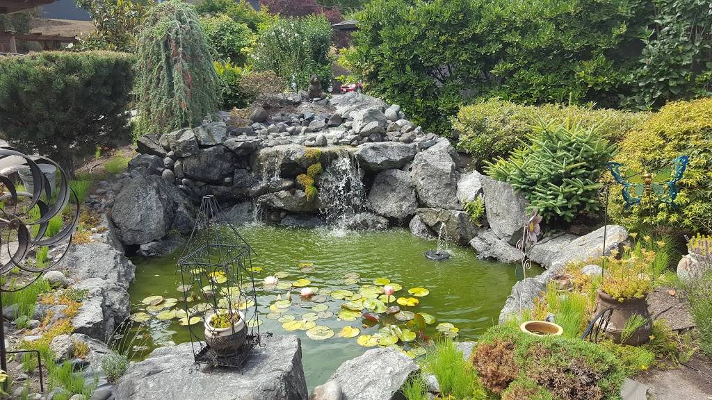 Umi Cafe | restaurant | 80 SE Bush St, Issaquah, WA 98027, USA | 4257771958 OR +1 425-777-1958