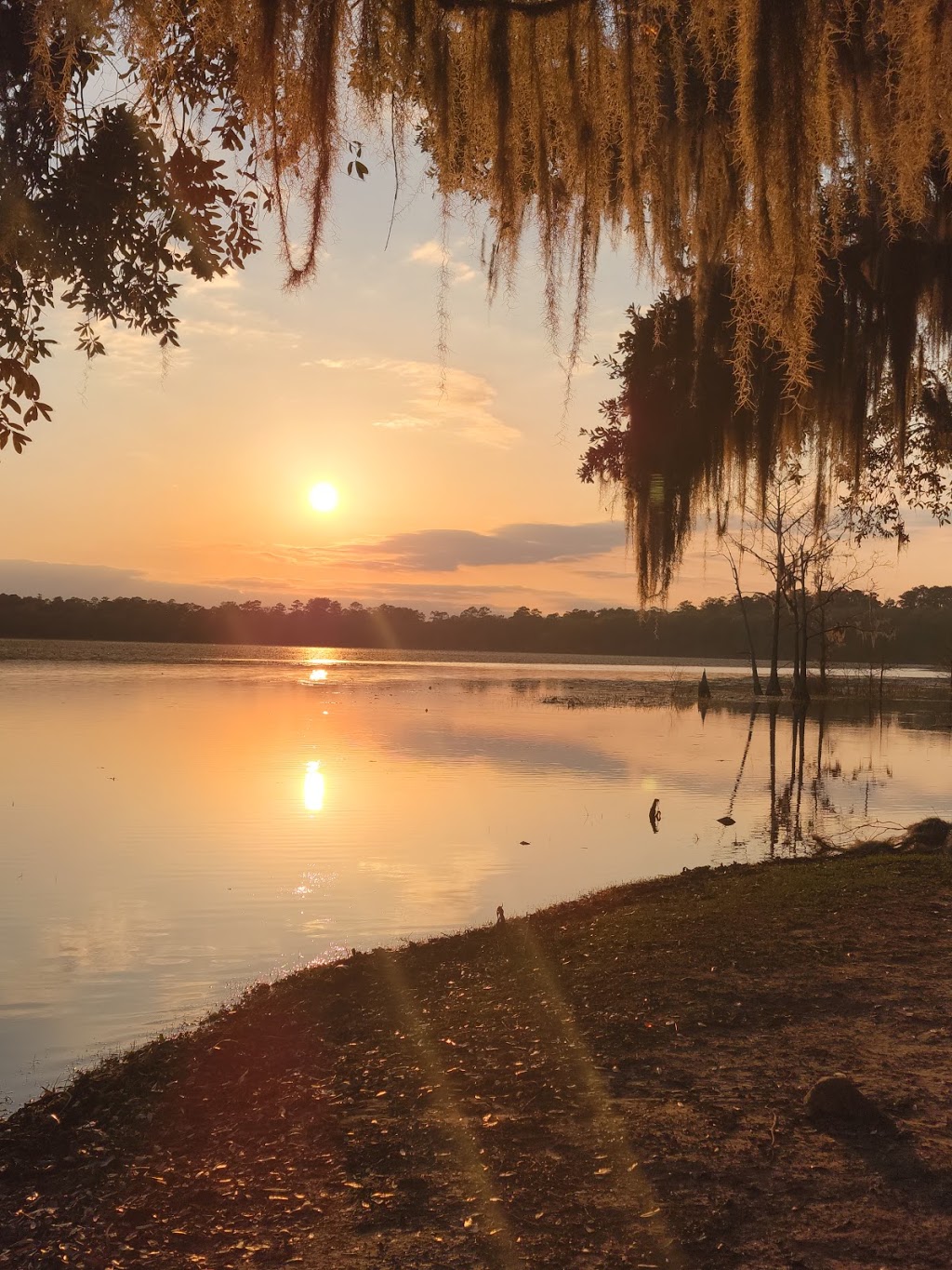 Fish Camp at Lake Iamonia | restaurant | 12062 Waterfront Dr, Tallahassee, FL 32312, USA | 8502287115 OR +1 850-228-7115