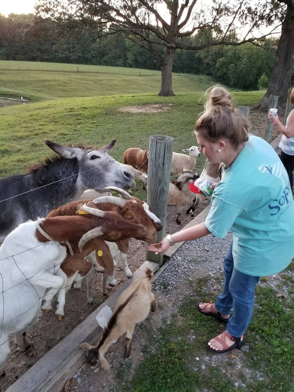 Carmacks Fish Barn | restaurant | 2165 TN-140, Cottage Grove, TN 38224, USA | 7317823518 OR +1 731-782-3518