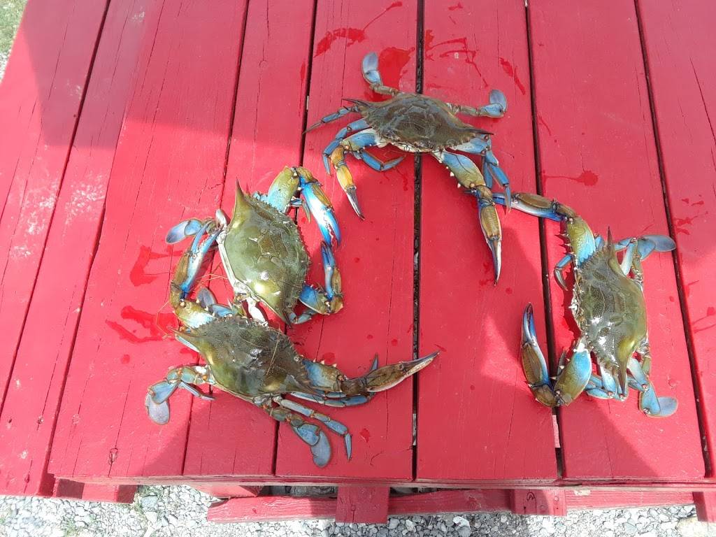 Mona Lisa Bar and Grill | restaurant | 439 Laroussini St, Westwego, LA 70094, USA | 5043417097 OR +1 504-341-7097