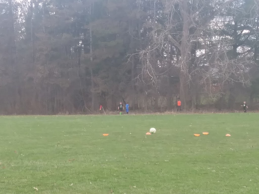 Mansfield Liederkranz | restaurant | 1212 Silver Ln, Mansfield, OH 44903, USA | 4195293064 OR +1 419-529-3064