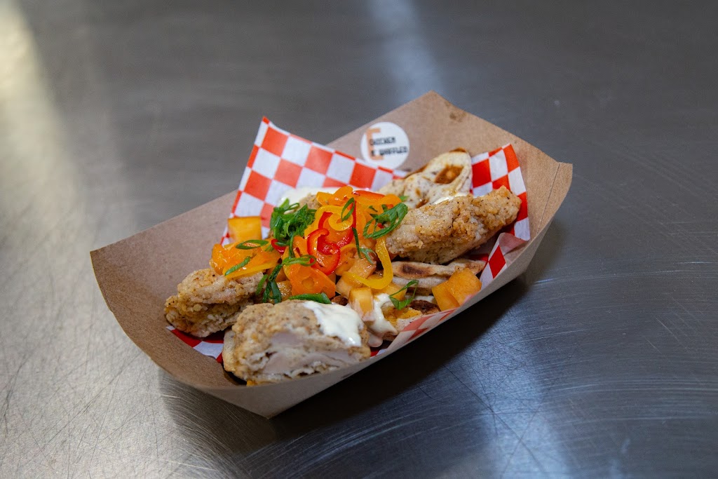 Rogues Over the Top Pierogi | restaurant | 8309 Research Blvd, Austin, TX 78758, USA | 9376960216 OR +1 937-696-0216