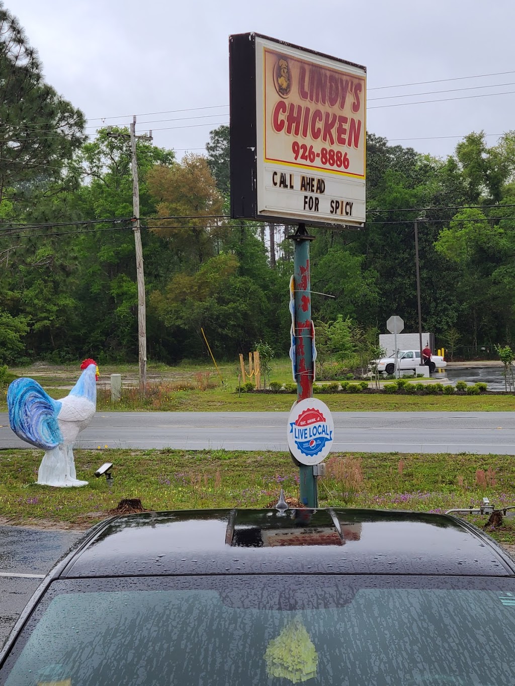 Lindys Fried Chicken Inc | restaurant | 2120 Crawfordville Hwy, Crawfordville, FL 32327, USA | 8509268886 OR +1 850-926-8886