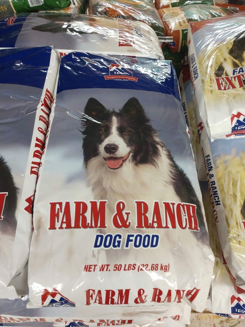 Spanish Trail Supply Co | restaurant | 21 S Main St, Veyo, UT 84782, USA | 4355740808 OR +1 435-574-0808