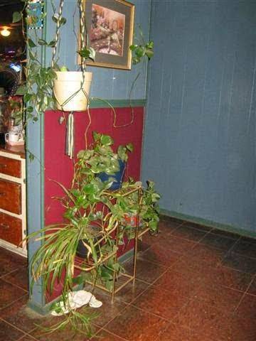 Jay Dees Tavern | restaurant | 25196 Alston Rd, Rainier, OR 97048, USA | 5035569753 OR +1 503-556-9753