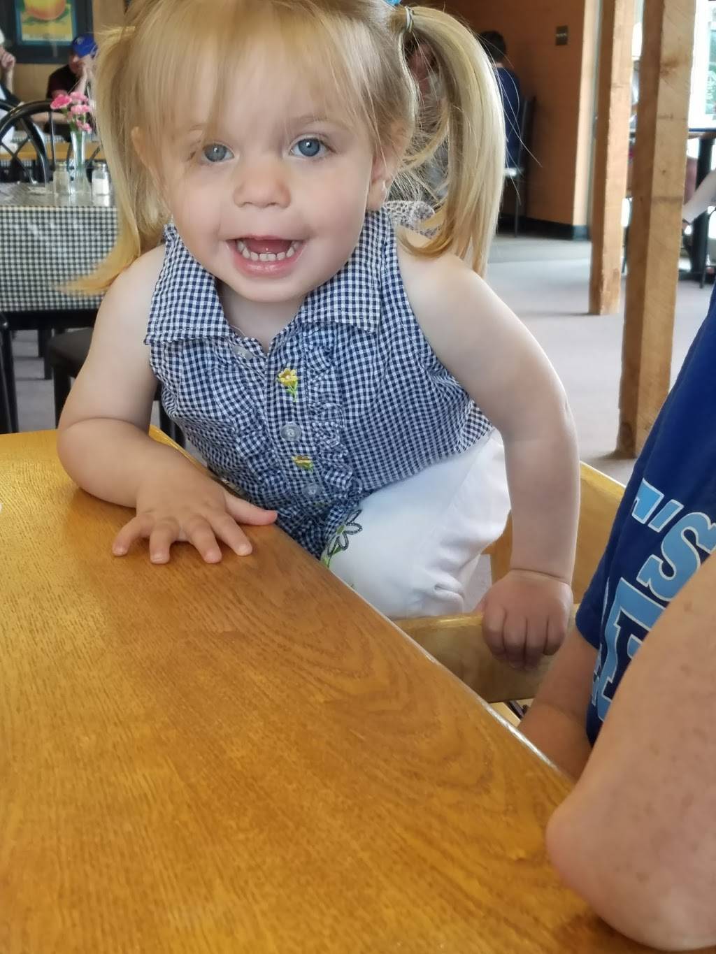 Wild Onion | restaurant | 1830 E 9th St, Trenton, MO 64683, USA | 6603593050 OR +1 660-359-3050