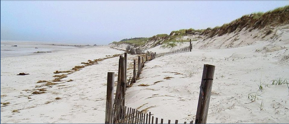 Candleberry Inn on Cape Cod | restaurant | 1882 Main St, Brewster, MA 02631, USA | 5088963300 OR +1 508-896-3300