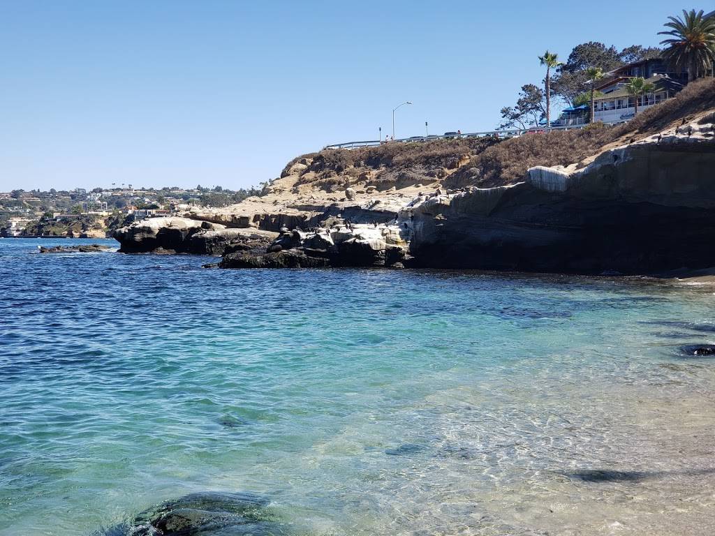 Potbelly Sandwich Shop | restaurant | 326 14th Ave SE, Minneapolis, MN 55414, USA | 6123310191 OR +1 612-331-0191