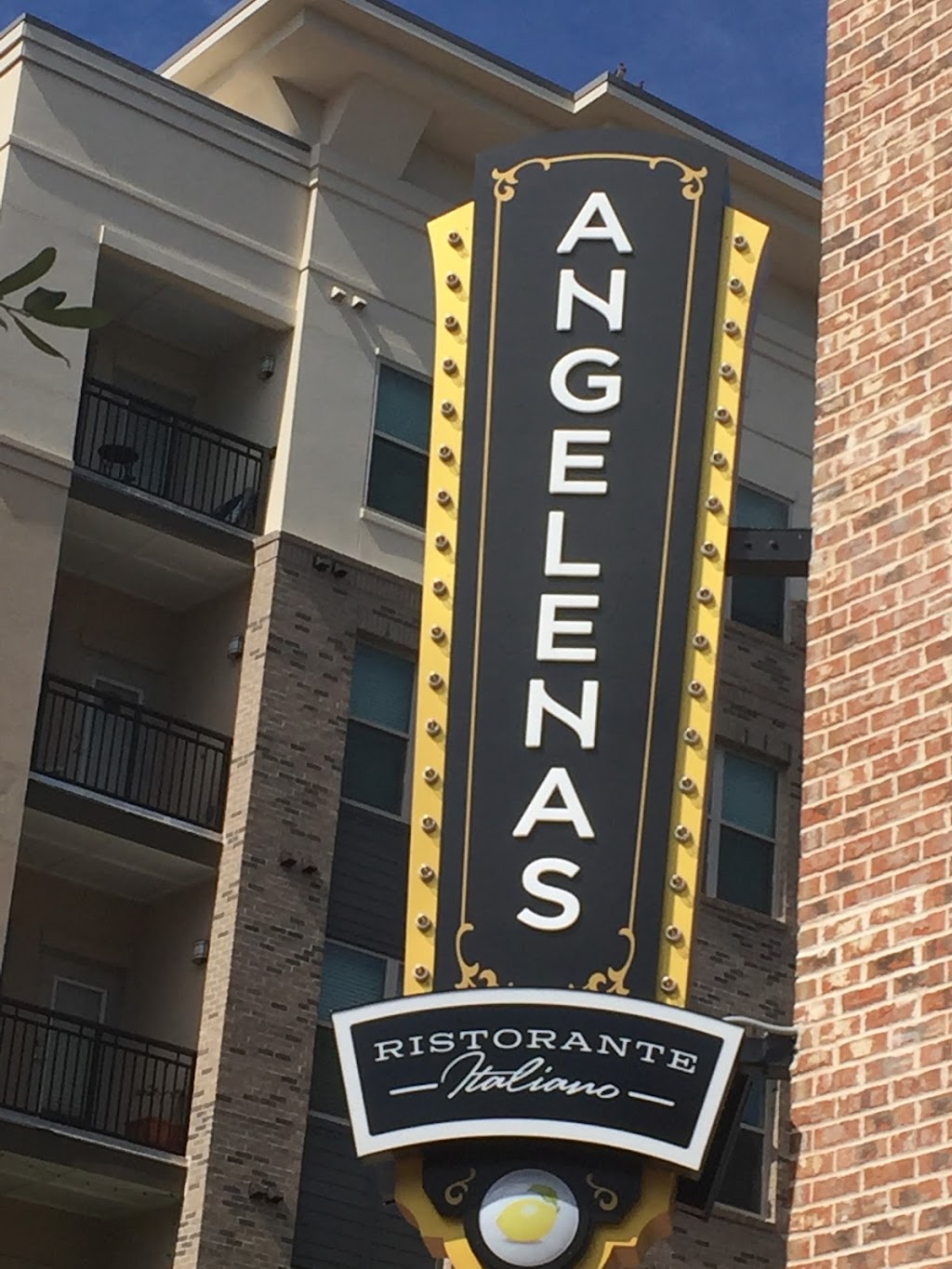 Angelenas Ristorante Italiano | restaurant | 101 E Intendencia St, Pensacola, FL 32502, USA | 8505428398 OR +1 850-542-8398