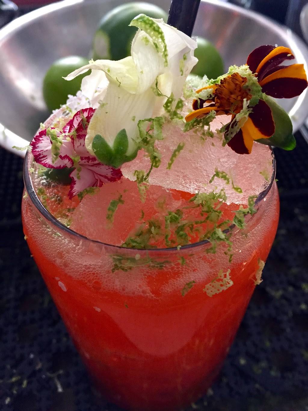 Vida Taco Bar | restaurant | 200 Main St, Annapolis, MD 21401, USA | 4438376521 OR +1 443-837-6521