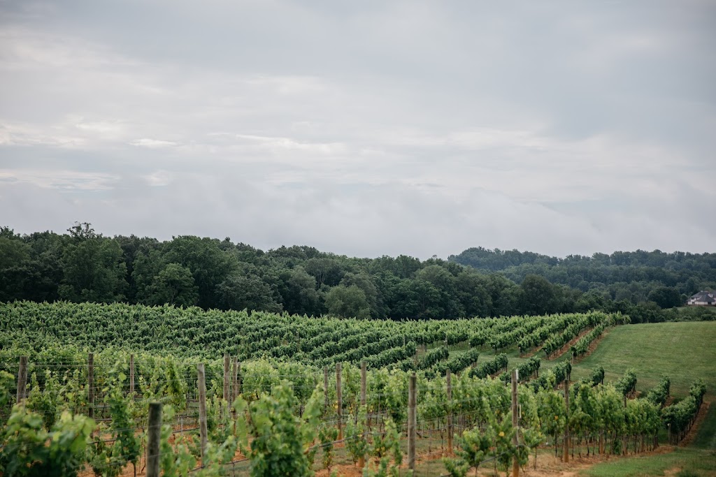 Nicewonder Vineyards Tasting Room | restaurant | 22091 Nicewonder Dr, Bristol, VA 24202, USA | 2762993260 OR +1 276-299-3260