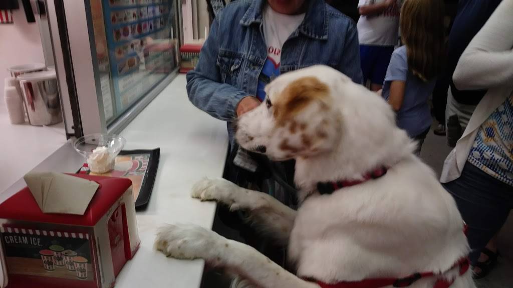 Ritas Italian Ice & Frozen Custard | restaurant | 617 Lombard Rd, Red Lion, PA 17356, USA | 7172467007 OR +1 717-246-7007