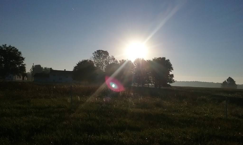 Burbach Concessions | restaurant | 6850 OH-534, West Farmington, OH 44491, USA | 3308892171 OR +1 330-889-2171