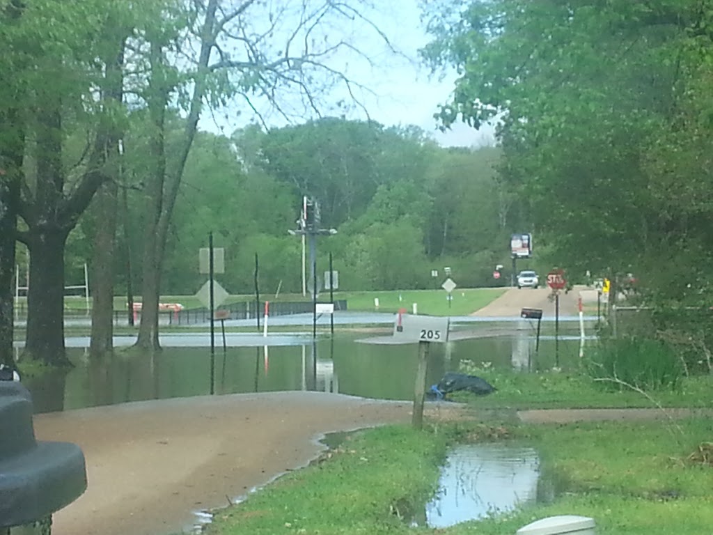 Wards of Pelahatchie | restaurant | 408 US-80, Pelahatchie, MS 39145, USA | 6018548268 OR +1 601-854-8268