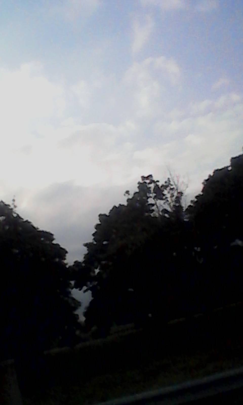 Joanns Kitchen | restaurant | 3372 US-378, Conway, SC 29527, USA | 8433975858 OR +1 843-397-5858