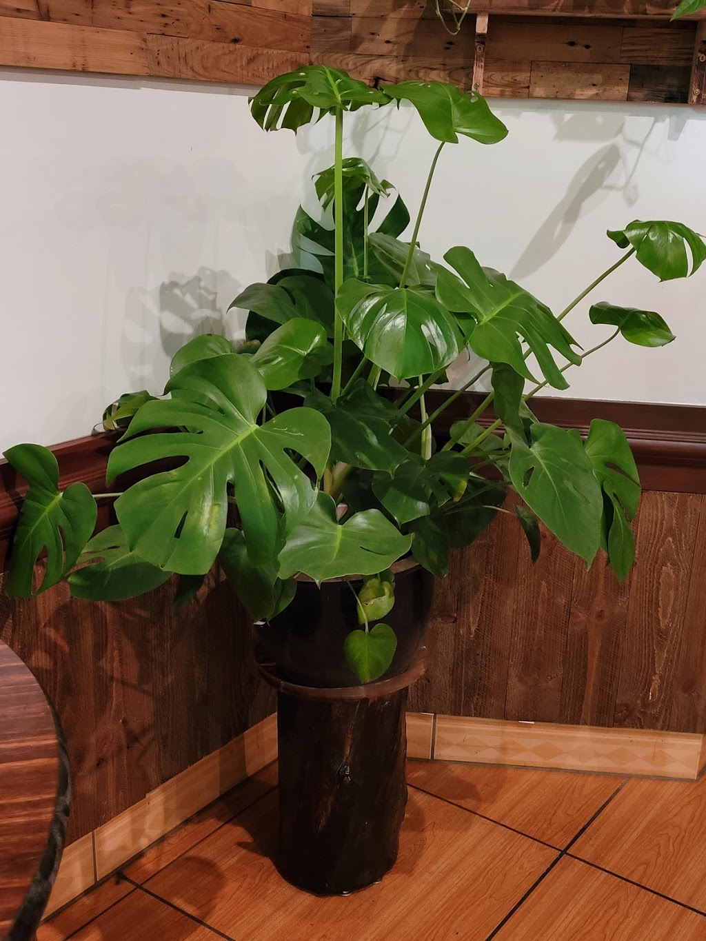 Street noodles | restaurant | 1703 E Carson St, Pittsburgh, PA 15203, USA | 4124888888 OR +1 412-488-8888