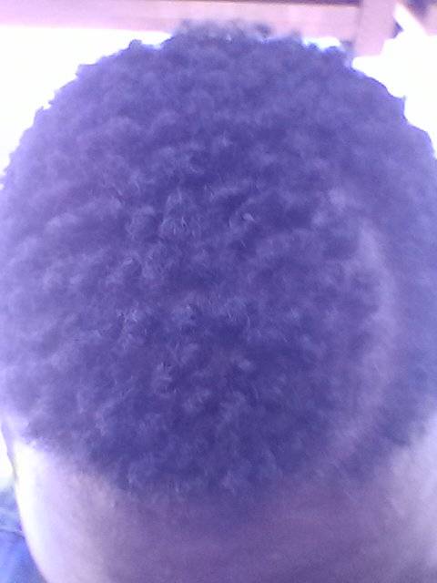 Maxwell Street Grill | restaurant | 7901 S South Chicago Ave, Chicago, IL 60617, USA | 7737683976 OR +1 773-768-3976