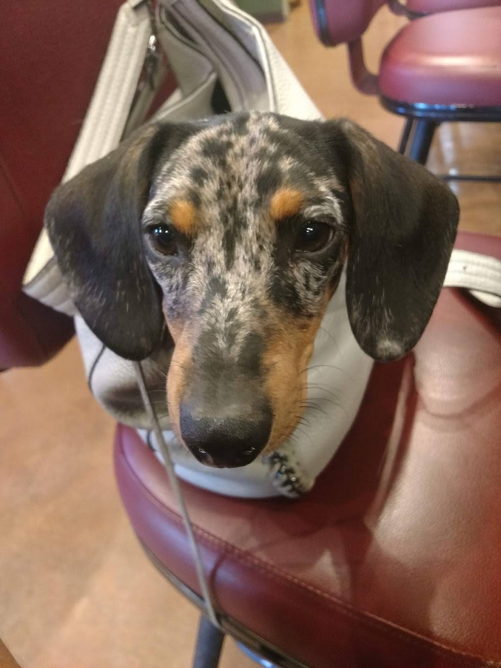 The Lake Bar & Grill | restaurant | 9716 Pyramid Hwy, Sparks, NV 89436, USA | 7754245253 OR +1 775-424-5253