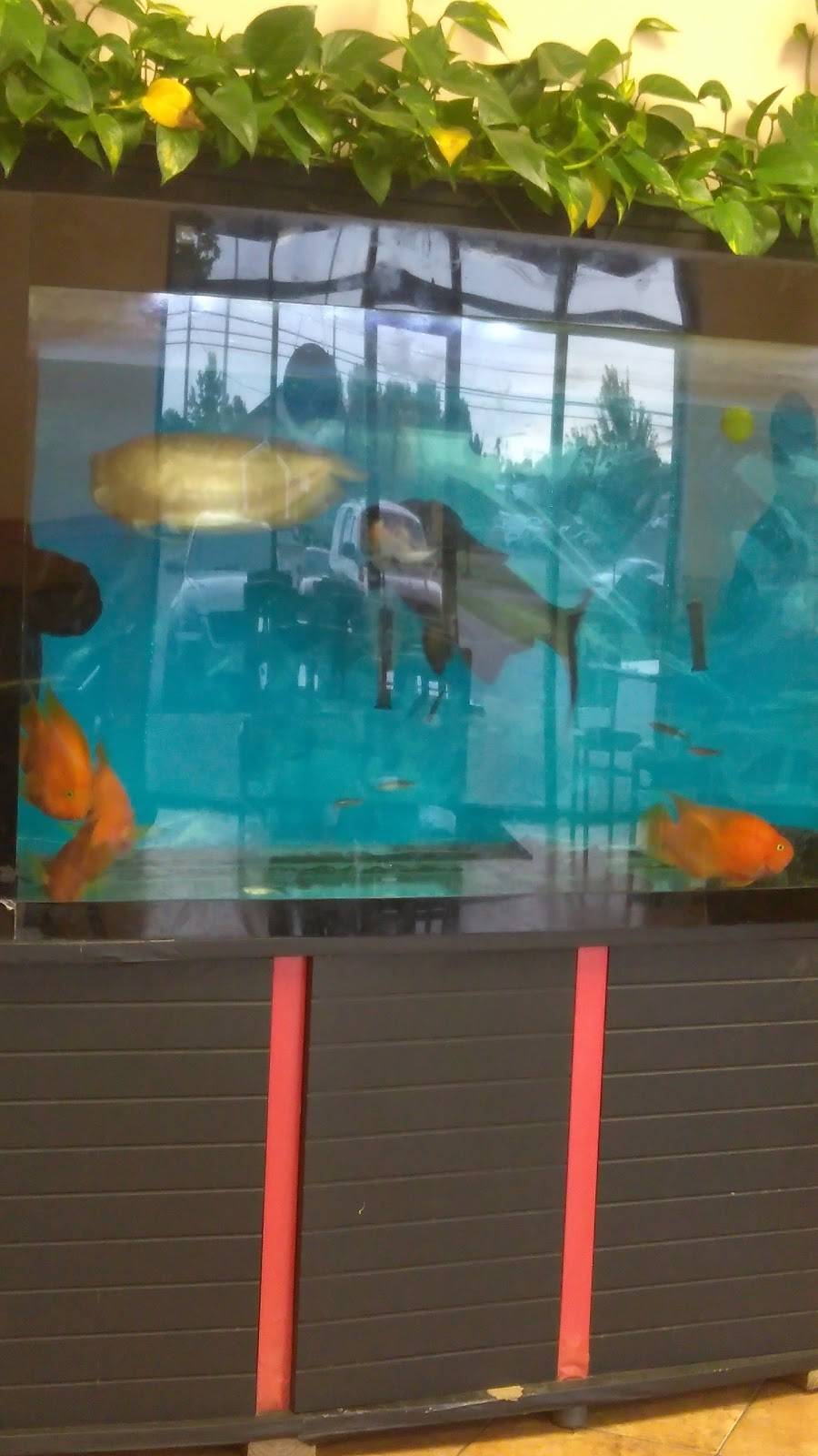 New King Mao | restaurant | 210 Needmore Rd, Clarksville, TN 37040, USA | 9316488881 OR +1 931-648-8881