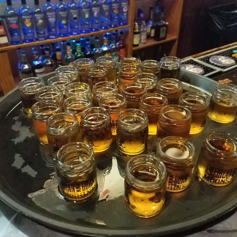 Road Dawgs Saloon | restaurant | 13010 W State Rd 84, Davie, FL 33325, USA | 9545331149 OR +1 954-533-1149