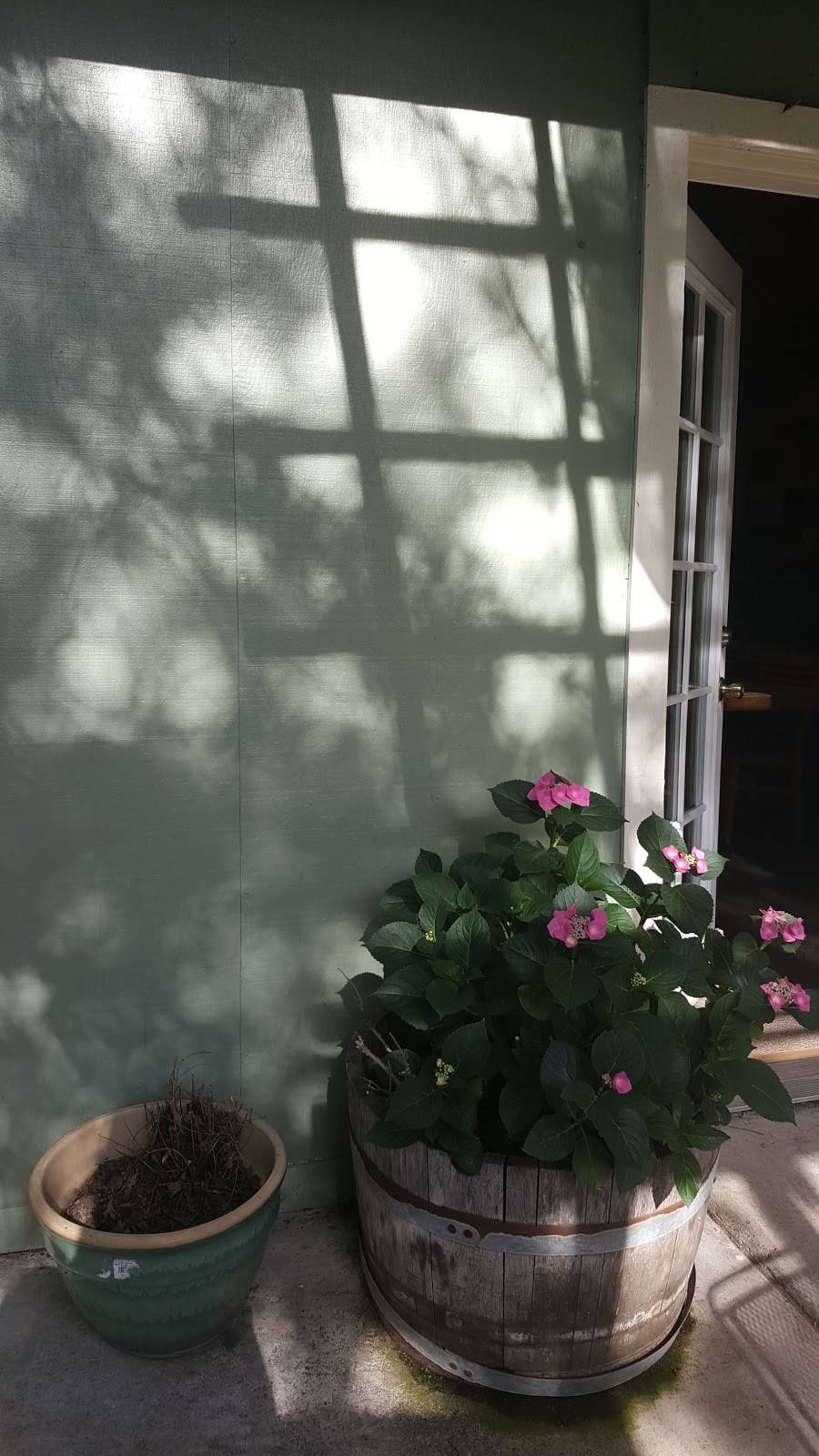 Cobb Mountain Pizza | restaurant | 16295 Hwy 175 #3, Cobb, CA 95426, USA | 7079284188 OR +1 707-928-4188