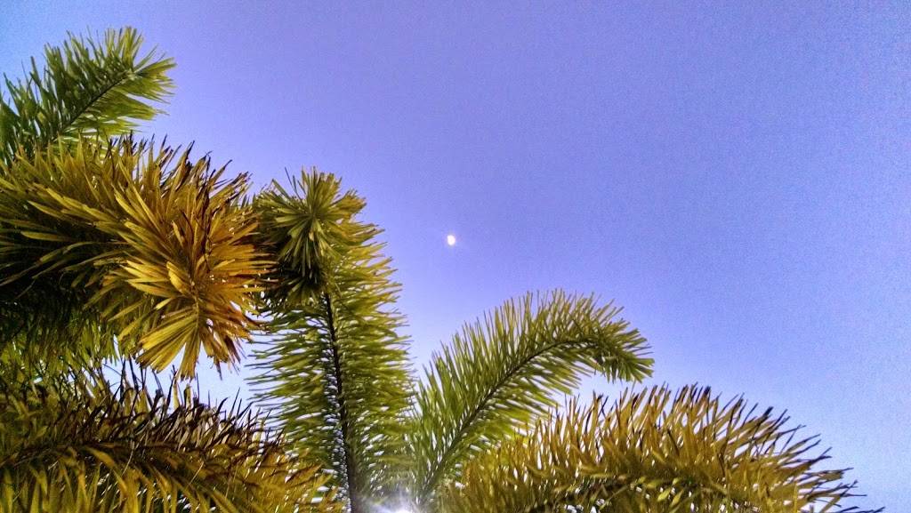 Subway Restaurants | restaurant | 2312 Hollywood Blvd, Hollywood, FL 33020, USA | 9544046260 OR +1 954-404-6260