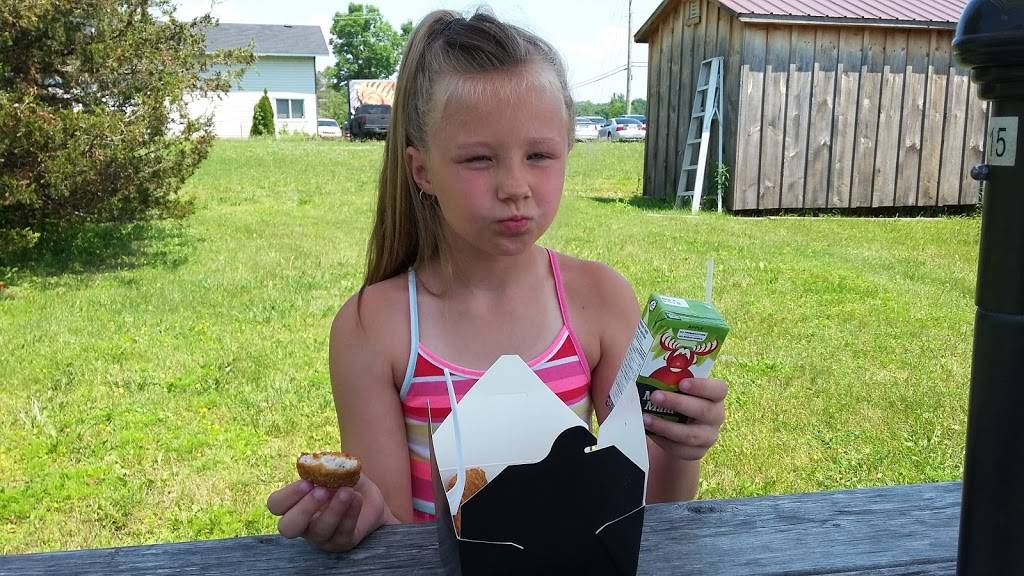 Charleston Cookhouse Chip Truck | restaurant | 312 Charleston Rd, Athens, ON K0E 1B0, Canada | 6136402873 OR +1 613-640-2873