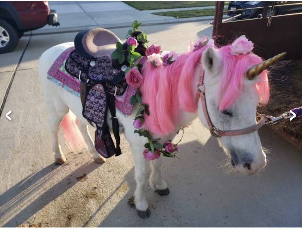 The Taco Spot Food Truck | restaurant | 701 Hamblen Rd, Kingwood, TX 77339, USA | 8327130945 OR +1 832-713-0945