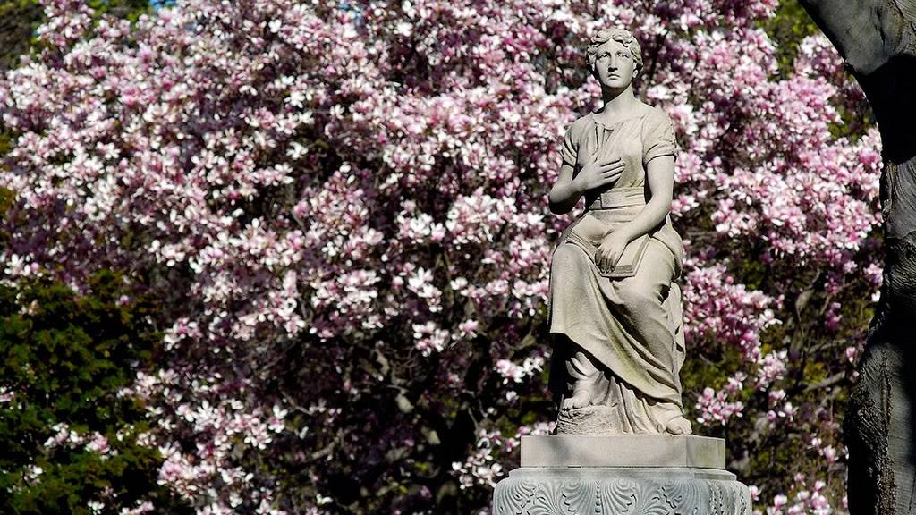 Supreme Memorials | restaurant | 3316 Amboy Rd, Staten Island, NY 10306, USA | 7186682050 OR +1 718-668-2050