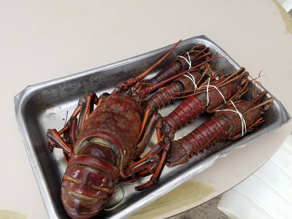 La Escondida Puerto Nuevo | restaurant | Anzuelo #12, 22712 Puerto Nuevo, B.C., Mexico | 016615274983 OR +52 661 527 4983