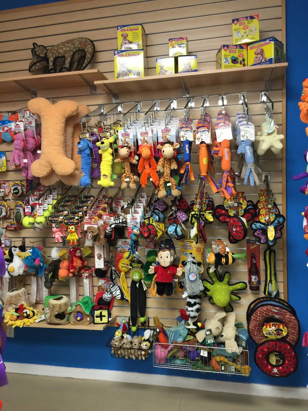 Bones2Go! | restaurant | 8805 Jones Rd #B101, Jersey Village, TX 77065, USA | 2818978000 OR +1 281-897-8000